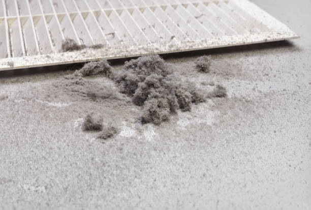 Best Duct Cleaning for Homes  in Poseyville, IN