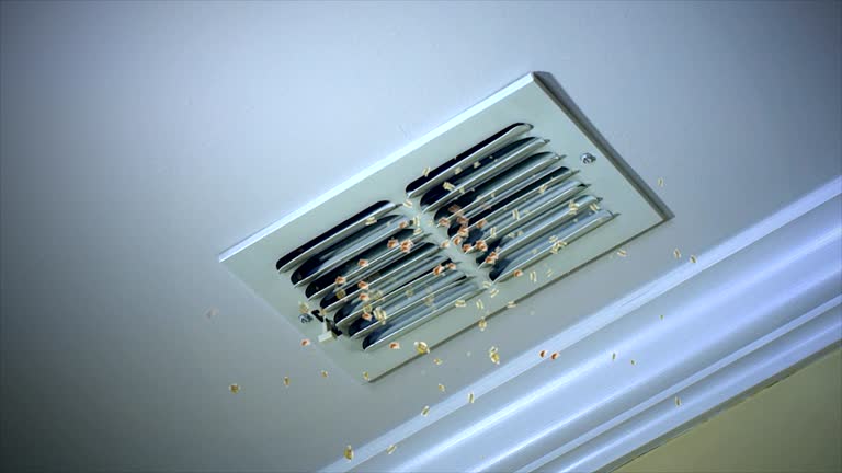 Best Air Duct Cleaning Near Me  in Poseyville, IN